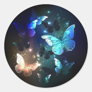Sticker Rond Papillon de nuit voltigeant