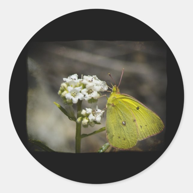 Sticker Rond Papillon jaune (Devant)