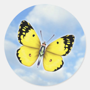 Sticker Rond Papillon jaune