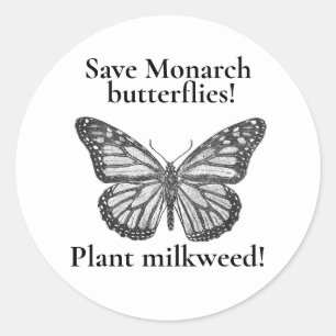Sticker Rond Papillon monarque
