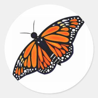 Sticker Rond Papillon monarque