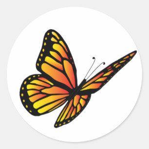 Sticker Rond Papillon monarque