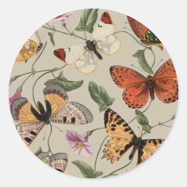 Sticker Rond Papillon Moth Nature Collection Dessin (Devant)
