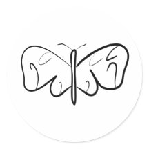 papillon noir et blanc