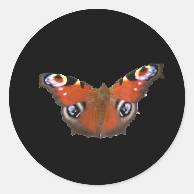 Sticker Rond Papillon Peacock Par KABFA (Devant)