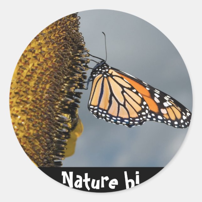 Sticker Rond papillon timide (Devant)