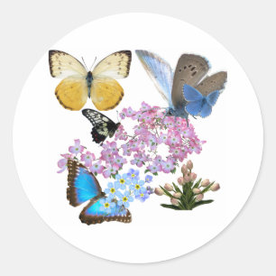 Sticker Rond Papillons Gracieux et fleurs