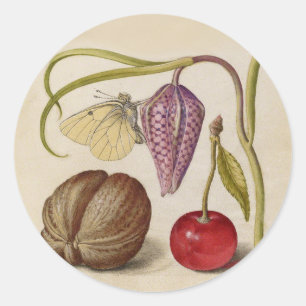Sticker Rond Papillons noix Fleur Cerisier Aquarelle Art