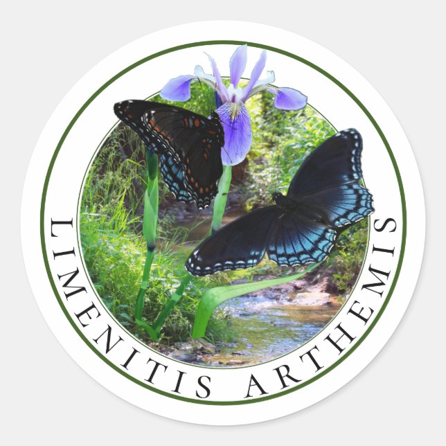 Sticker Rond Papillons pourpres tachetés rouge et Iris drapeau  (Devant)