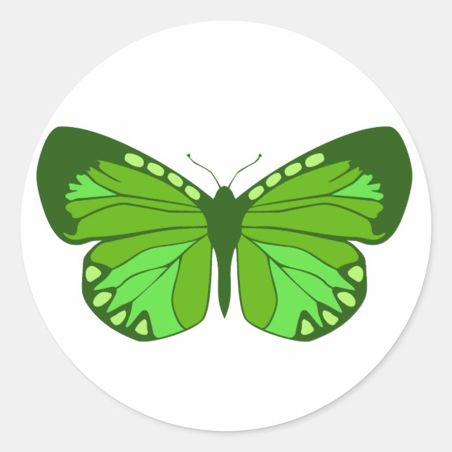 Sticker Rond Papillons verts (Devant)