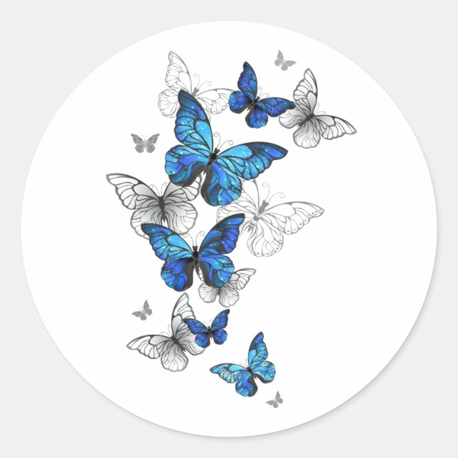 Sticker Rond Papillons volants bleus Morpho (Devant)