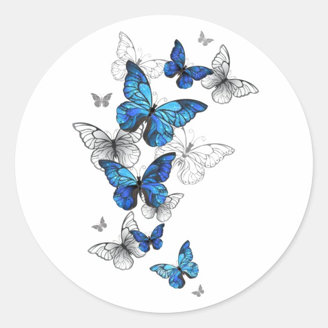 Sticker Rond Papillons volants bleus Morpho (Devant)