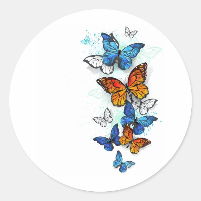 Sticker Rond Papillons volants Morpho et Monarch (Devant)