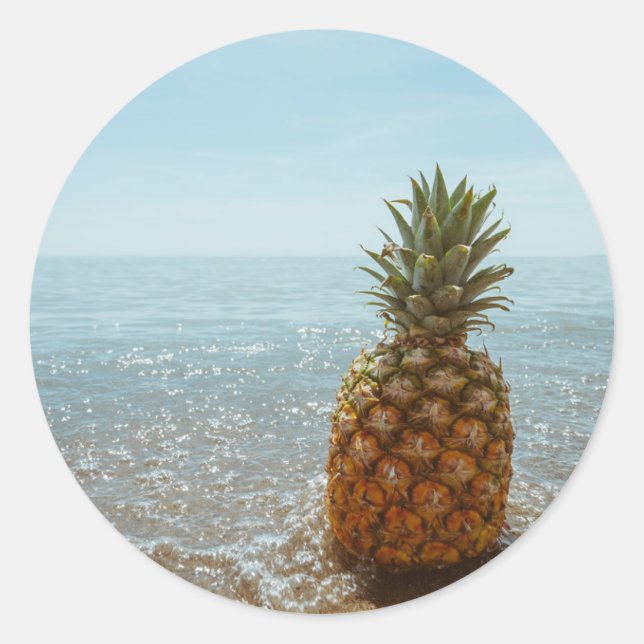 Sticker Rond Paradis Ananas (Devant)