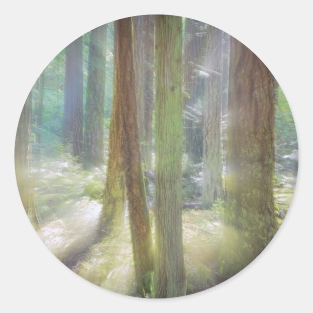 Sticker Rond Parc d'état de pittoresque Beach (Devant)