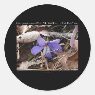Sticker Rond Parc national de Hot Springs, AR Cadeaux Violettes