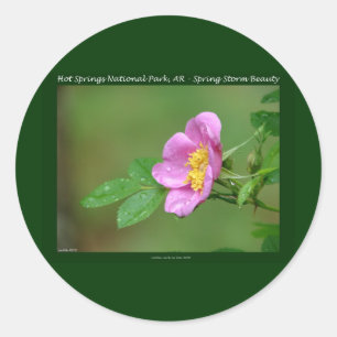 Sticker Rond Parc national de Hot Springs, AR Wild Rose Gifts