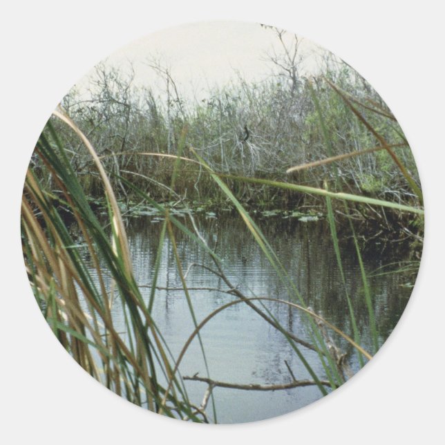 Sticker Rond Parc national des Everglades (Devant)
