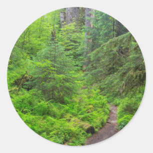 Sticker Rond Parc national olympique, sentier forestier