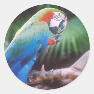 STICKER ROND PARCOURS VERT BLEU