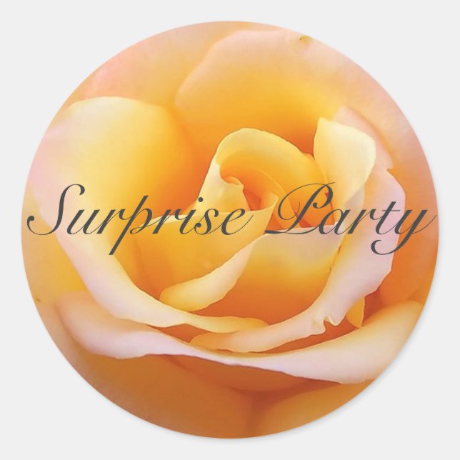 Sticker Rond Parfait Rose - Surprise Party (Devant)
