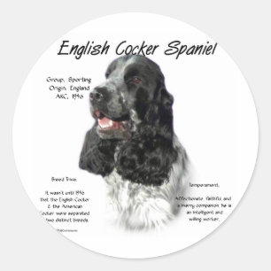 Sticker Rond Parti Anglais Cocker Histoire Espagnole