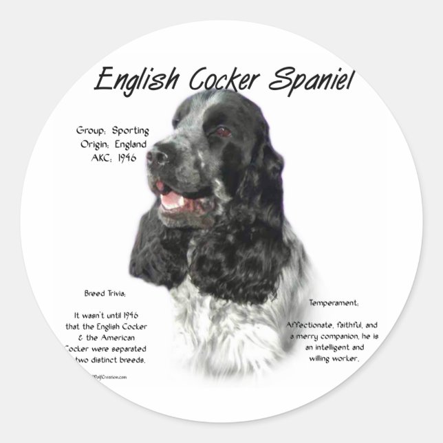 Sticker Rond Parti Anglais Cocker Histoire Espagnole (Devant)