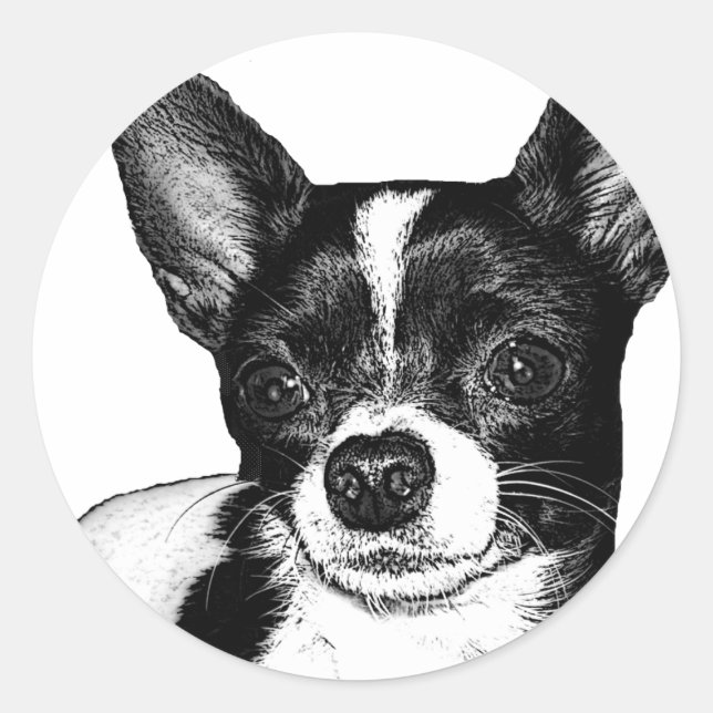 Sticker Rond Parti Chihuahua (Devant)