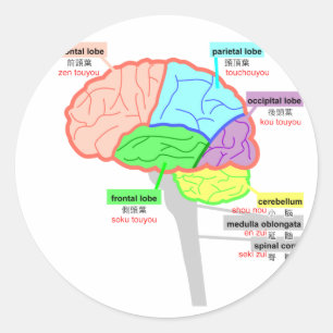 Sticker Rond parties simples du cerveau japonais