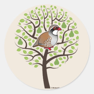 Sticker Rond Partridge dans un arbre à poires