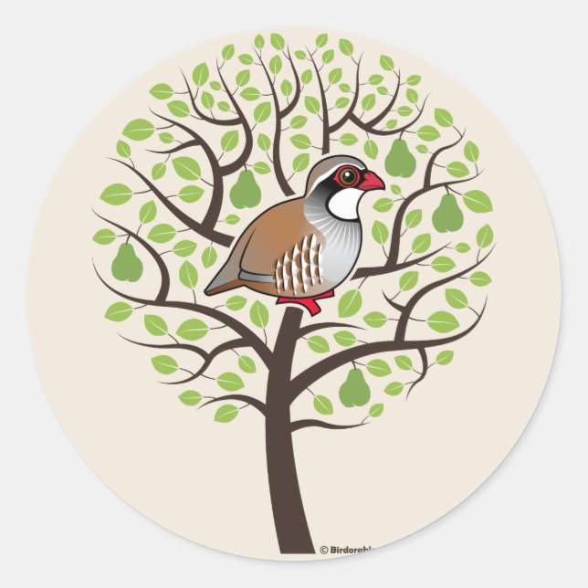 Sticker Rond Partridge dans un arbre à poires (Devant)