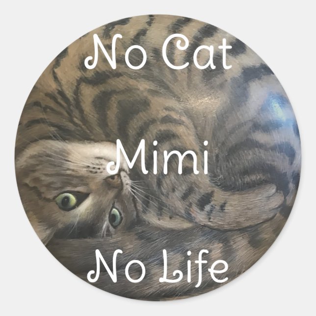 Sticker Rond Pas de chats, pas de vie (Devant)