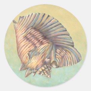 Sticker Rond Pastel Large Conch Shell
