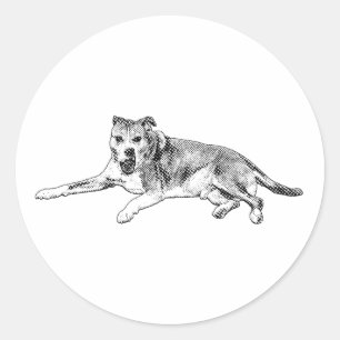Sticker Rond Pause Joyeuse, Contenu Étalé