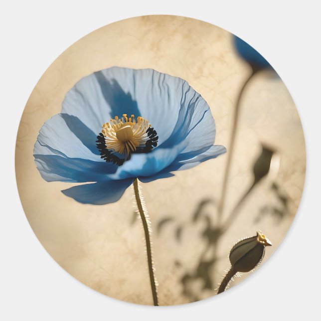Sticker Rond Pavot floral botanique (Devant)