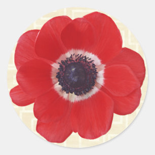 Sticker Rond Pavot sur beige