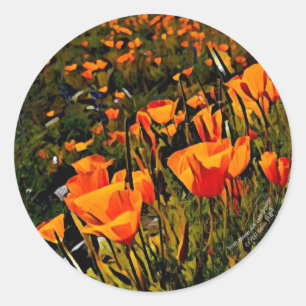 Sticker Rond Pavots mexicains oranges d'or fleurissant au