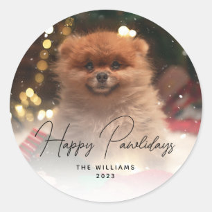 Sticker Rond Pawlidays Chien Pet photo moderne