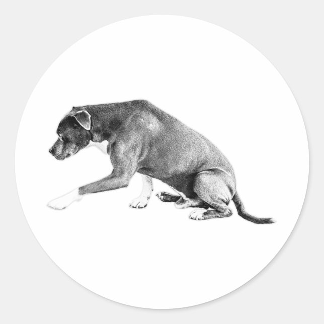 Sticker Rond Pawshake découpé - Mélange Pitbull (Devant)