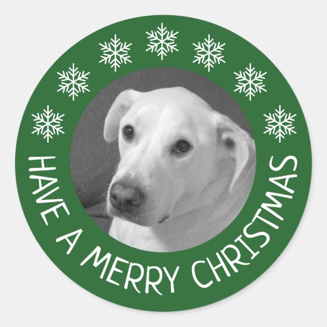 Sticker Rond Peaceful White Dog Photo Merry Christmas Green (Devant)