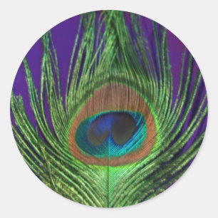Sticker Rond Peacock à huile violette simple