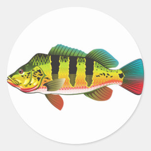 Sticker Rond Peacock Bass brillant Ocean Gamefing illustration