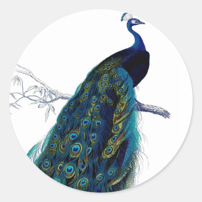 Sticker Rond Peacock couleur bleu vintage (Devant)