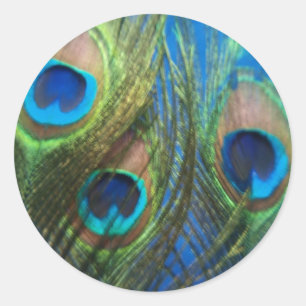 Sticker Rond Peacock de l'oeil de poisson