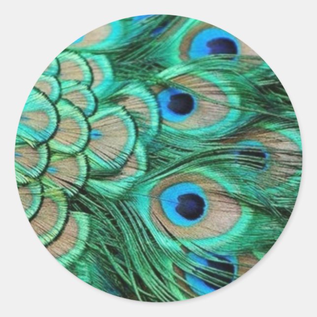 STICKER ROND PEACOCK FEATHERS (Devant)