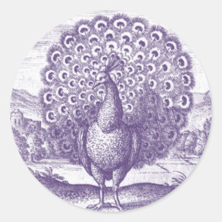 Sticker Rond Peacock, une gravure vintage