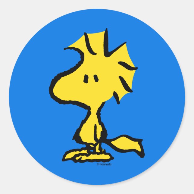 Sticker Rond Peanuts | Snoopy's Friend Woodstock (Devant)
