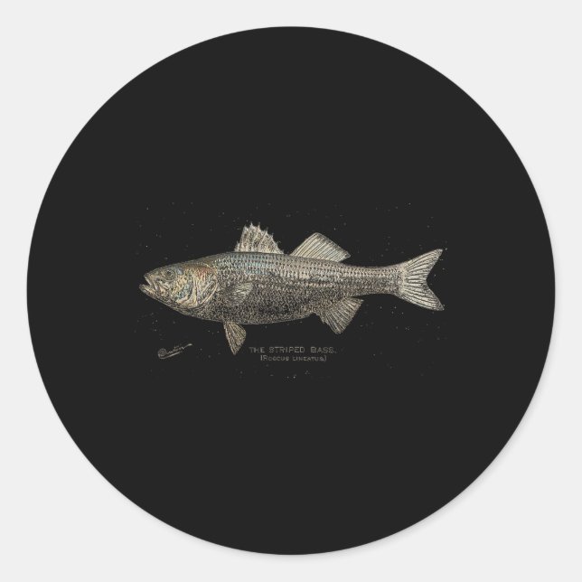 Sticker Rond Pêche au B rayé  (Devant)