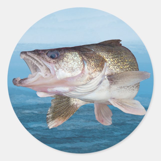 Sticker Rond Pêche au walleye (Devant)