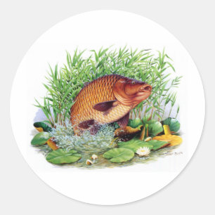 Sticker Rond Pêche de carpe